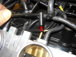 Scottoiler vsystem - conexión al vacio Triumph Tiger 1050 Sport